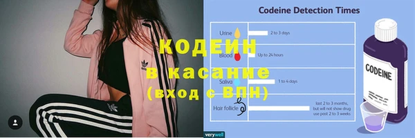 стаф Семилуки