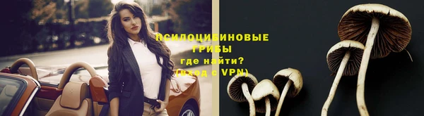 кокс Баксан