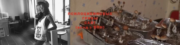 кокс Баксан