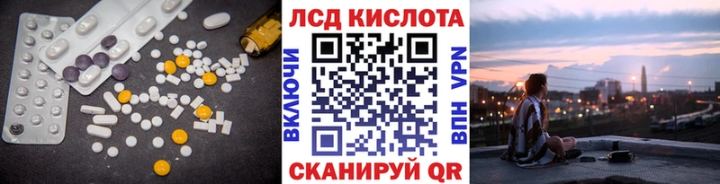где купить Ершов KRAKEN tor Лсд 25 экстази ecstasy