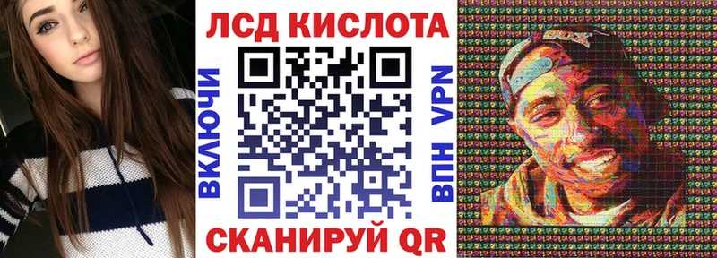даркнет сайт  Ершов  Марки 25I-NBOMe 1,5мг 