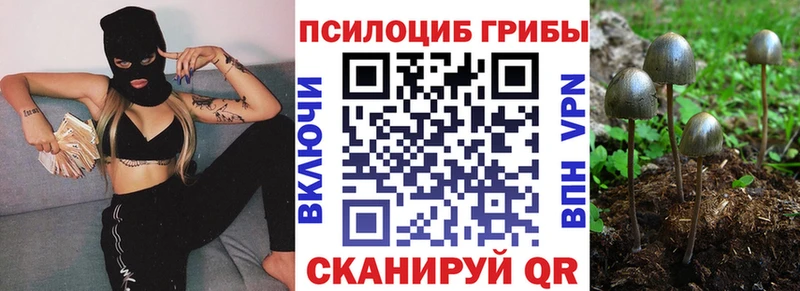 Псилоцибиновые грибы мухоморы  Ершов 